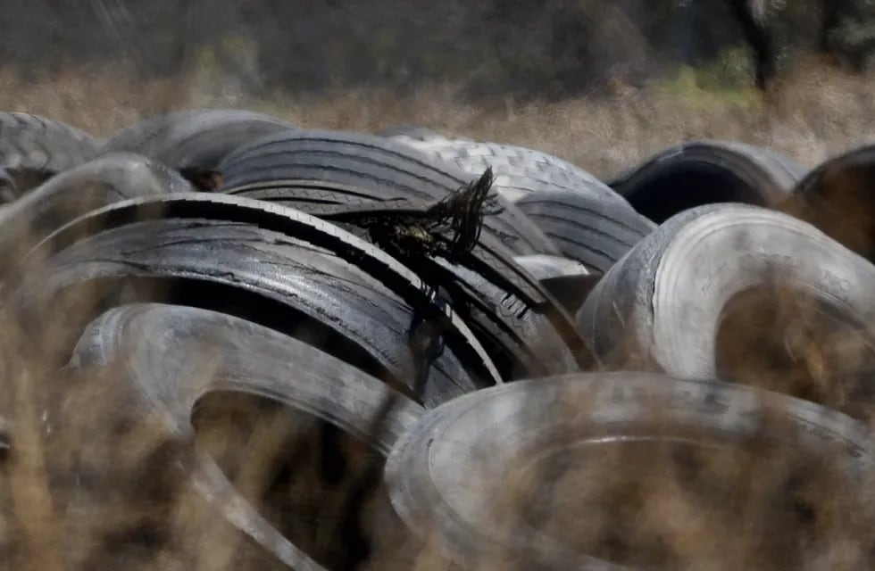 Neumáticos usados y medio ambiente 