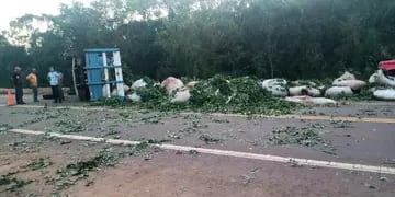 San Vicente: camión que transportaba hoja verde volcó y perdió su carga