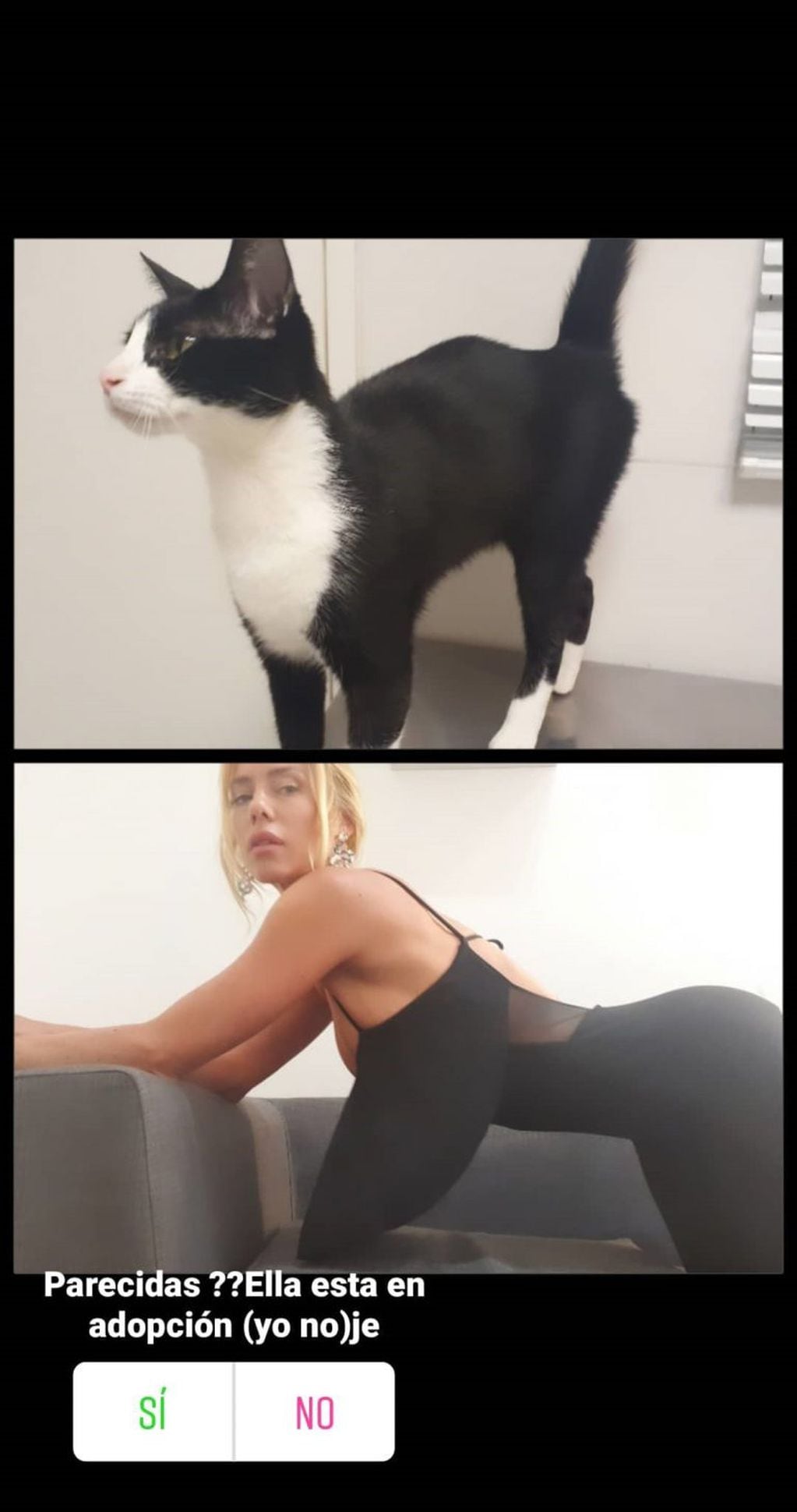 Nicole Neumann compartió una foto imitando la pose de un gato (Foto: Instagram/ @nikitaneumannoficial)
