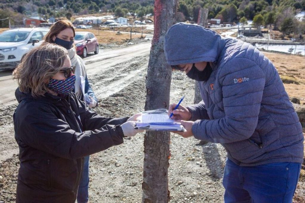 Entrega de lotes (web)