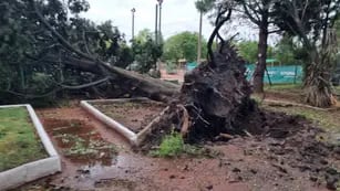 Destrozos en el Club de Pelota y Costa Sud a causa del temporal