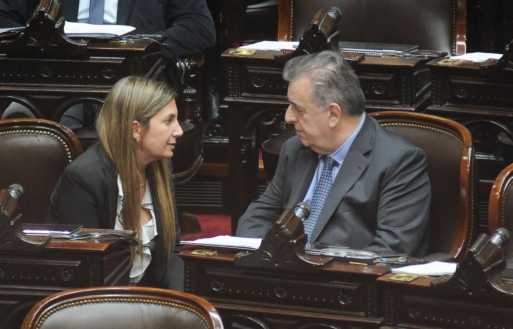 Lospenatto y Negri encabezaron el pedido de otro debate
Foto Federico Lopez Claro