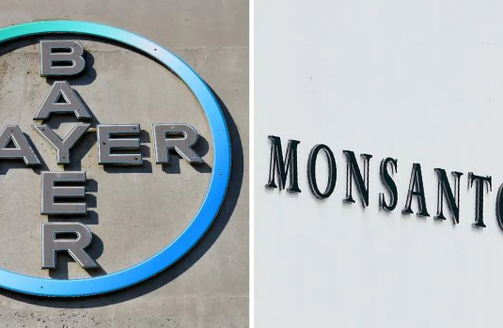 (FILES) This combination of file photos created on September 14, 2016 shows the logo of German pharmaceutical giant Bayer (L) taken on September 8, 2016 in Leverkusen and the logo of Monsanto at its Belgian manufacturing site and operations centre in Lillo near Antwerp on May 24, 2016. \nBayer may have finally completed its hard-fought takeover of US seeds and pesticide maker Monsanto, but that is unlikely to silence critics who have dubbed the tie-up a \