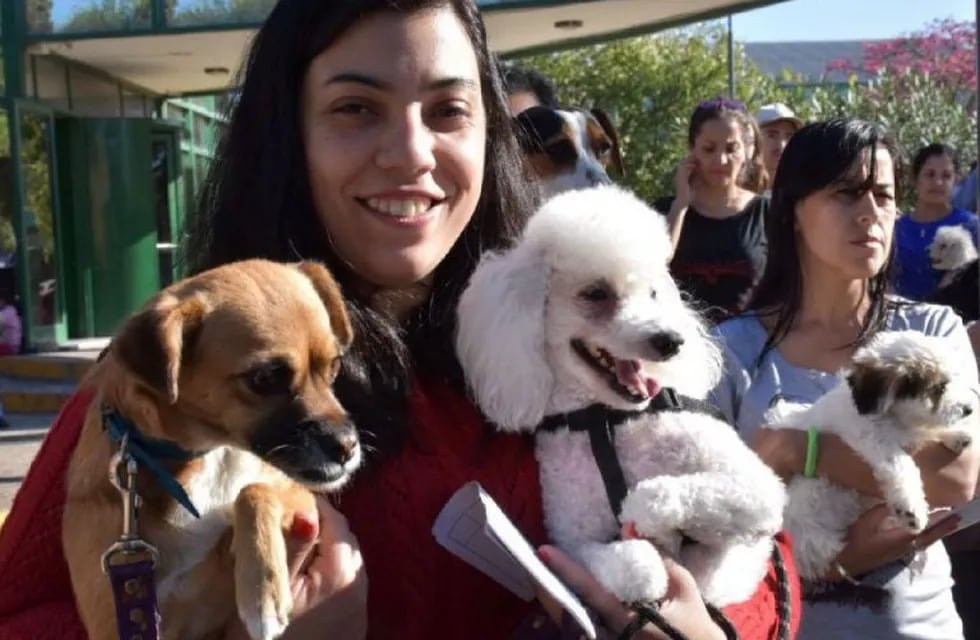 Adopción de mascotas promovida por la Municipalidad de Córdoba.