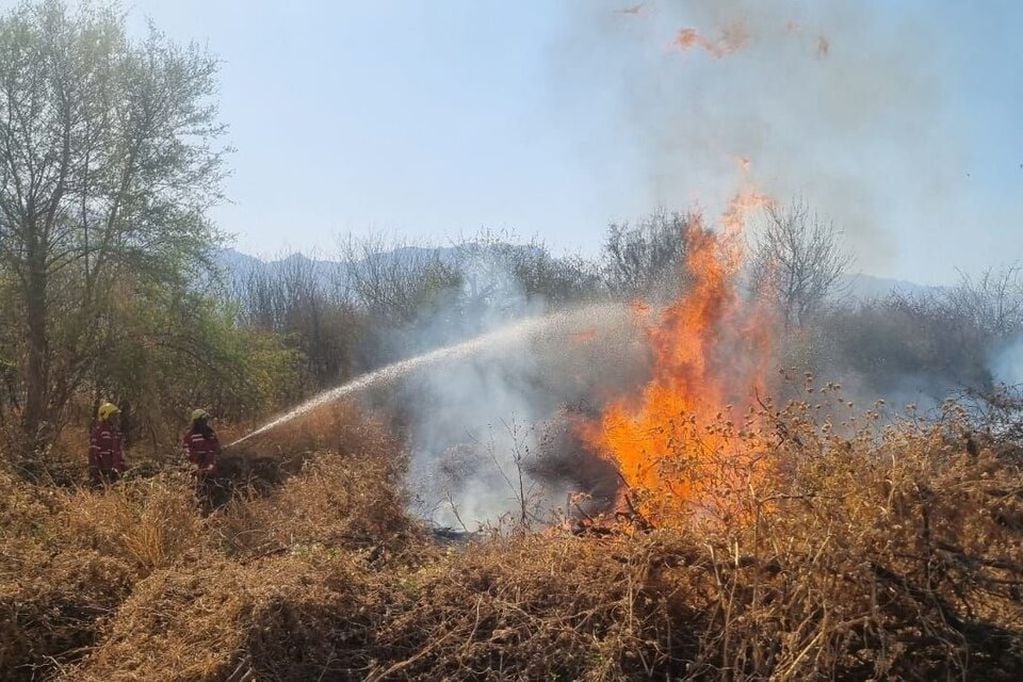 La Rioja está en alerta por varios incendios forestales.