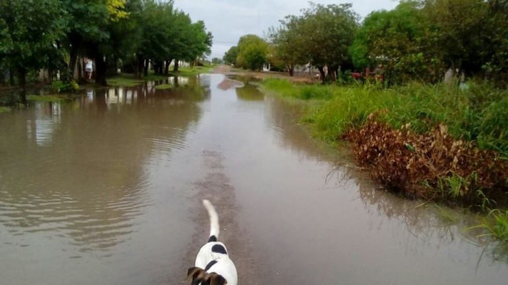 Caminos inundados en el Chaco (Web).