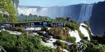 Ambientalistas contra la supuesta reapertura de un camino en el Parque Nacional do Iguazú