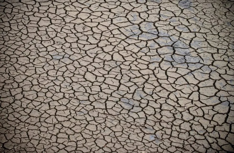 GRAF8225. Detalle de la tierra cuarteada por la ausencia de lluvia en el entorno del río Mao, a su paso por el municipio orensano de Montederramo, el 15 de octubre de 2017. El sur de Europa se verá más afectado por la crisis climática, con aumentos de la temperatura de hasta 7º en los peores escenarios y un incremento de las sequías y olas de calor, según un informe del Grupo Intergubernamental de Expertos en Cambio Climático (IPCC). En España, la emergencia climática figura en tercera posición (42 %) por detrás de la inestabilidad política (56 %) y el paro (72 %), considerado el gran reto también por italianos y griegos, según el informe elaborado junto con la consultora BVA a través de 30 000 encuestas. Casi un tercio (31 %) de los españoles cree que tendrá que mudarse a una región más fría por el cambio climático, el 82 % considera que el impacto de los gases de efecto invernadero seguirá sintiéndose durante décadas aunque se detengan las emisiones y el 88 % cree que la emergencia c