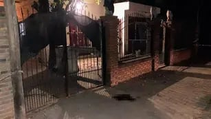 Mataron a un hombre de 51 años en Villa Gobernador Gálvez