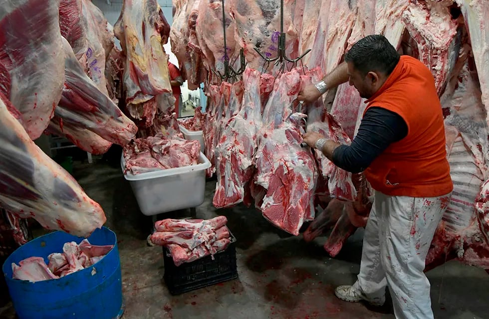 Exportación de carnes (Archivo)
