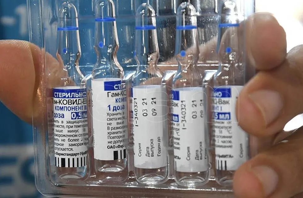 Las dosis recibidas son del componente 1 de la vacuna Sputnik V (APN)