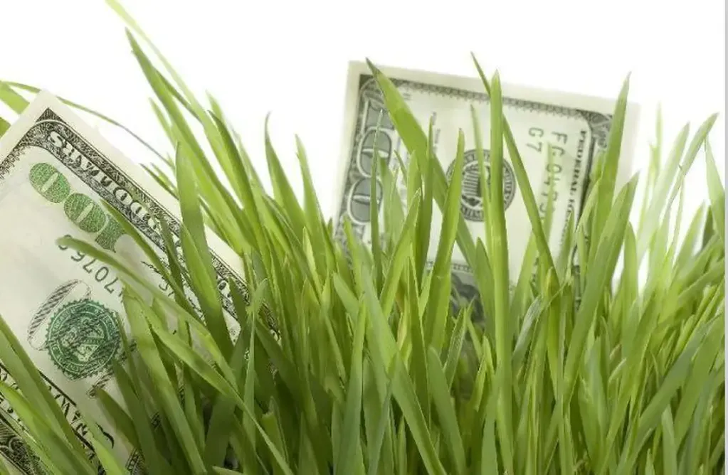 El dólar "agro" permite el acceso de 1700 productos a un tipo de cambio de $300.