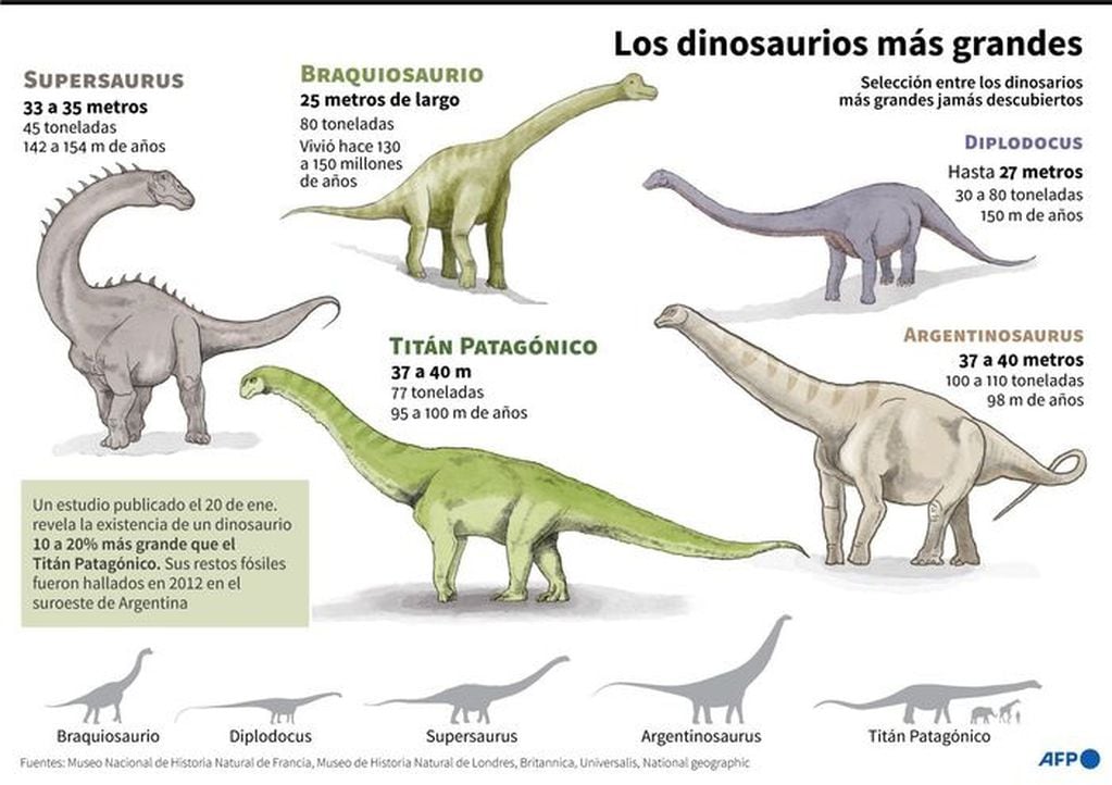 Dinossaurios