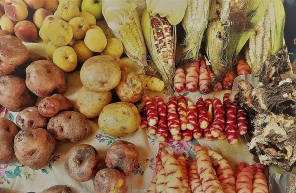 Productos naturales de Jujuy que propician una alimentación saludable y nutritiva