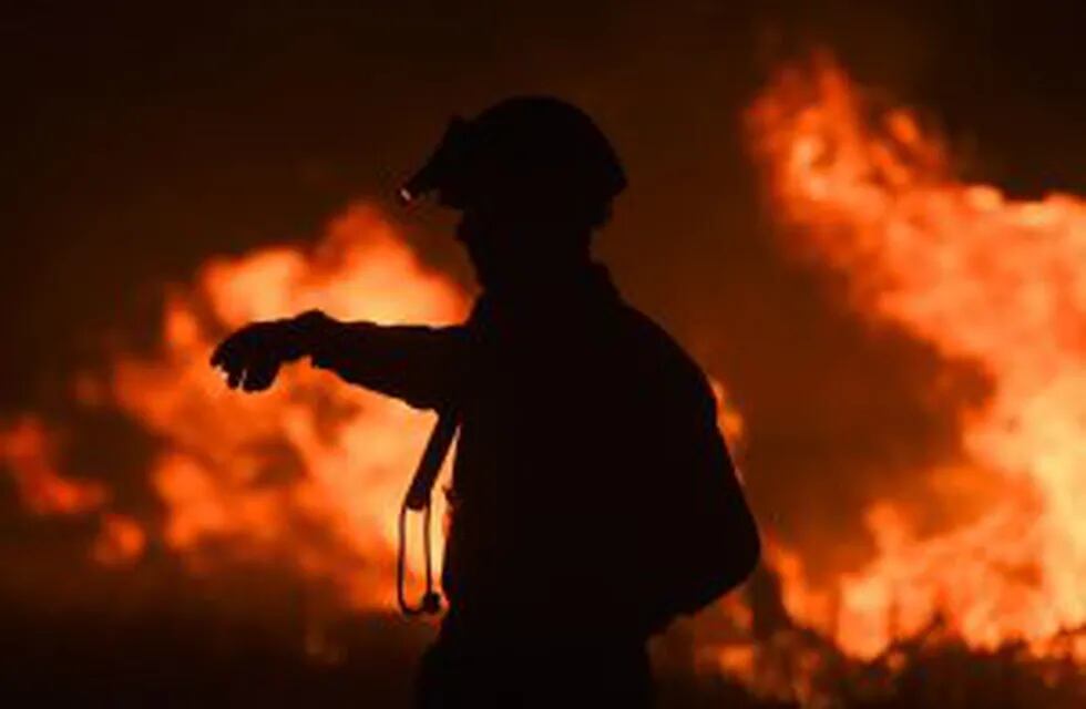 A fireman gestures while fighting a wildfire near La Adela in La Pampa Province on January 5, 2017. nFirefighters in Argentina said on January 5 they were bringing under control three wildfires that have devastated nearly a million hectares (2.5 million acres) of the country's famous pampas, or plains. / AFP PHOTO / Eitan ABRAMOVICH