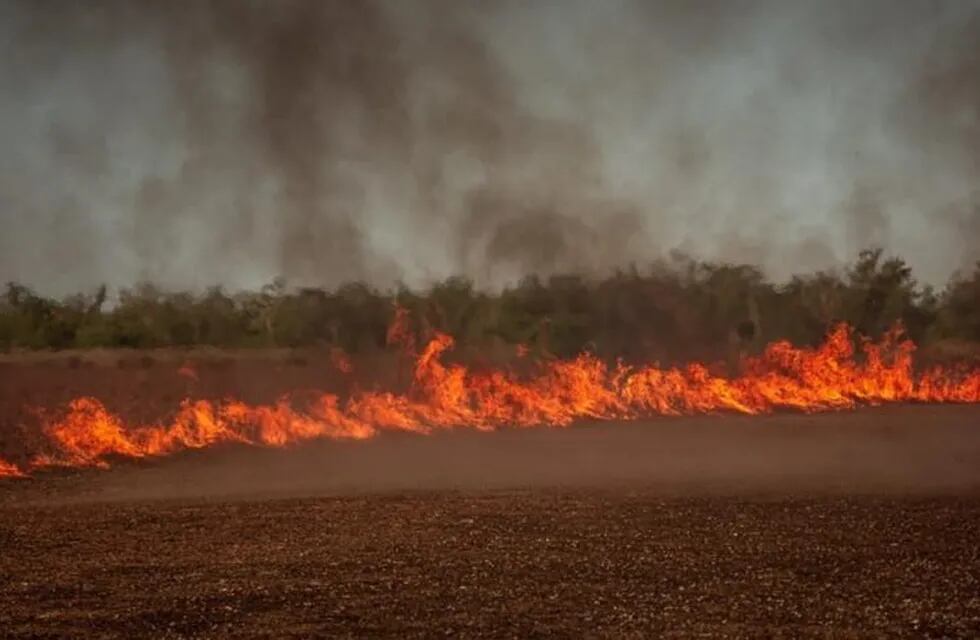 El fuego puso en jaque a los habitantes del Delta del Paraná este fin de semana. (Carlos Salazar)