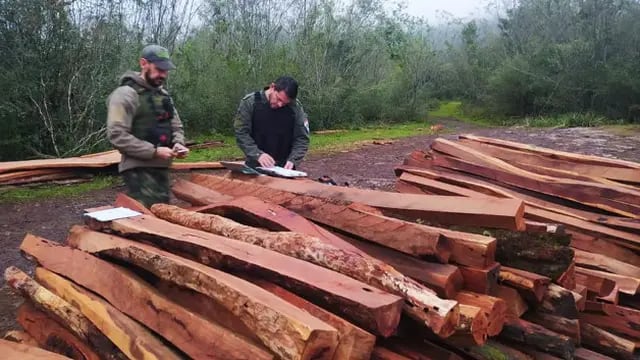 Incautan madera nativa en Cerro Corá