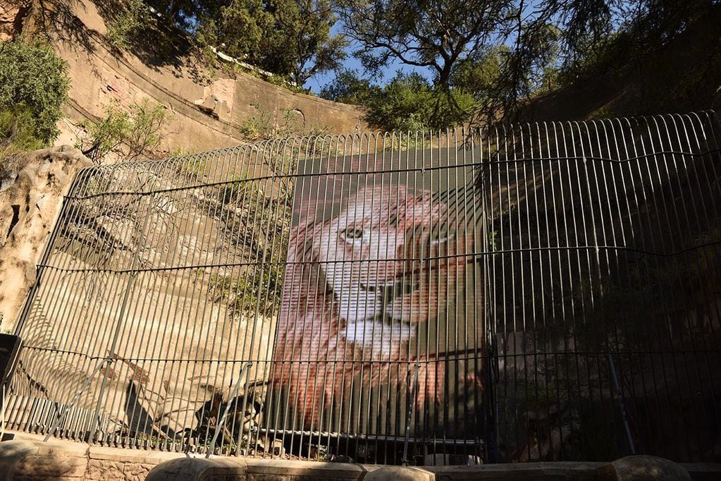 Parque de la Biodiversidad de Córdoba. Hay más de 900 animales que pertenecían al viejo zoológico, no están en exhibición. (José Gabriel Hernández / La Voz)