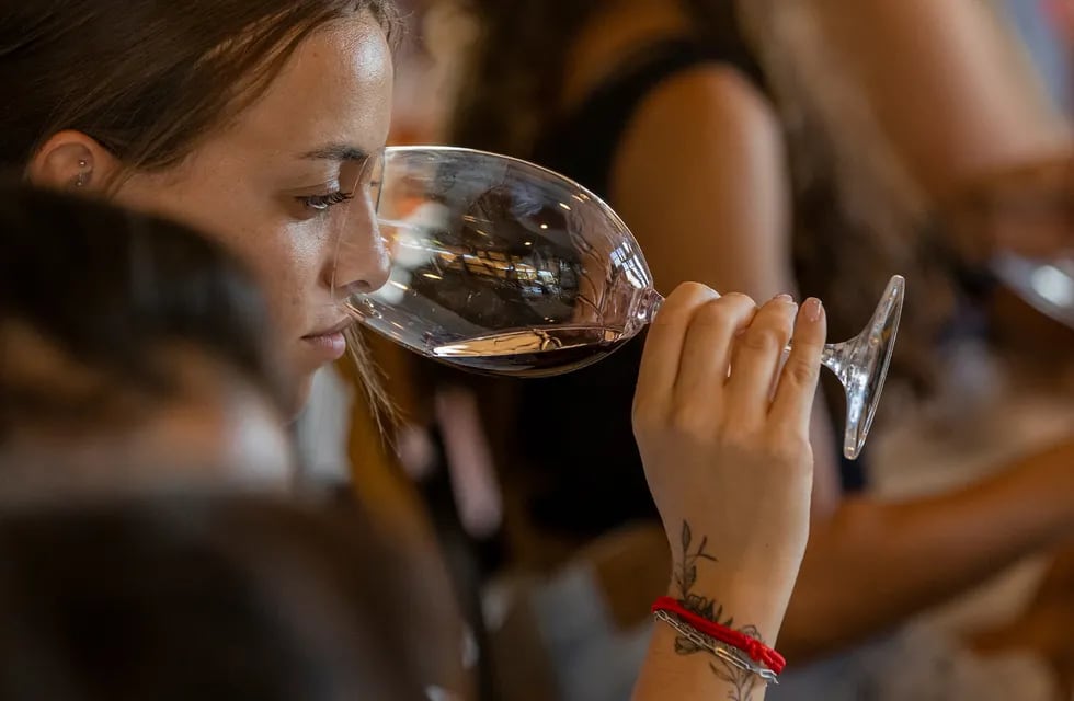 Se realizó un curso de degustación de vinos  en la nueva sala de capacitaciones del nuevo espacio turístico “El andén” de la Estación Gutiérrez