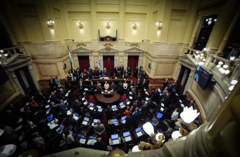 Senadores votando Presupuesto 2019. (Federico López Claro)