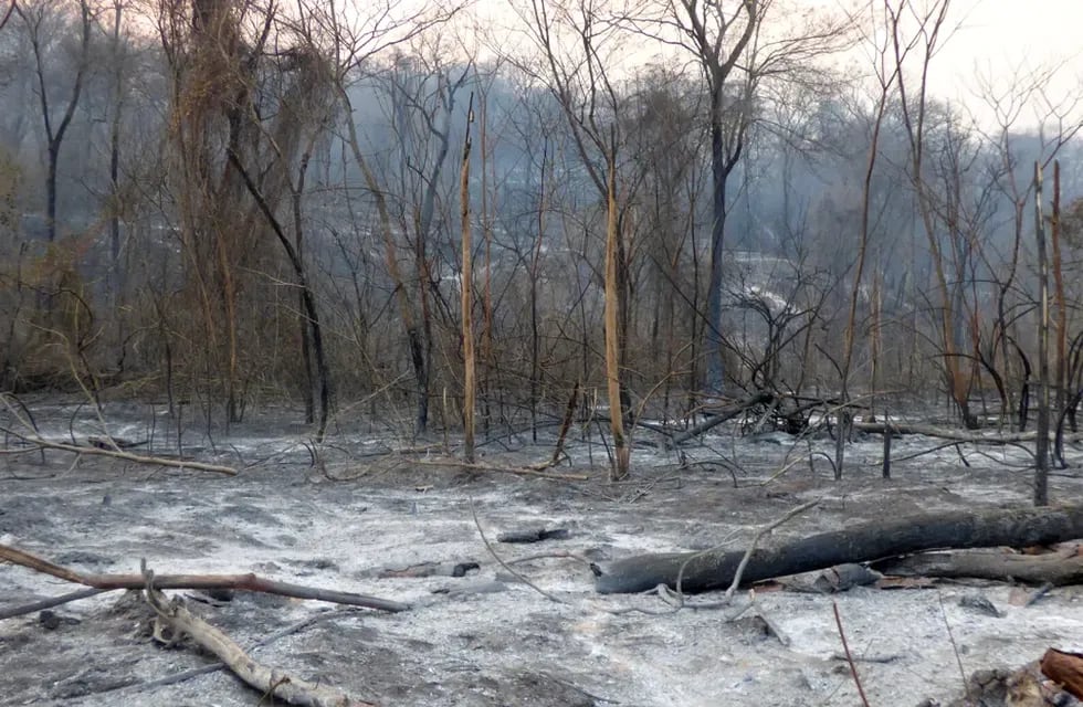 Las autoridades calculan que ya son 7.800 hectáreas de bosques y pastizales la superficie afectada por el fuego en las Yugas de Jujuy.
