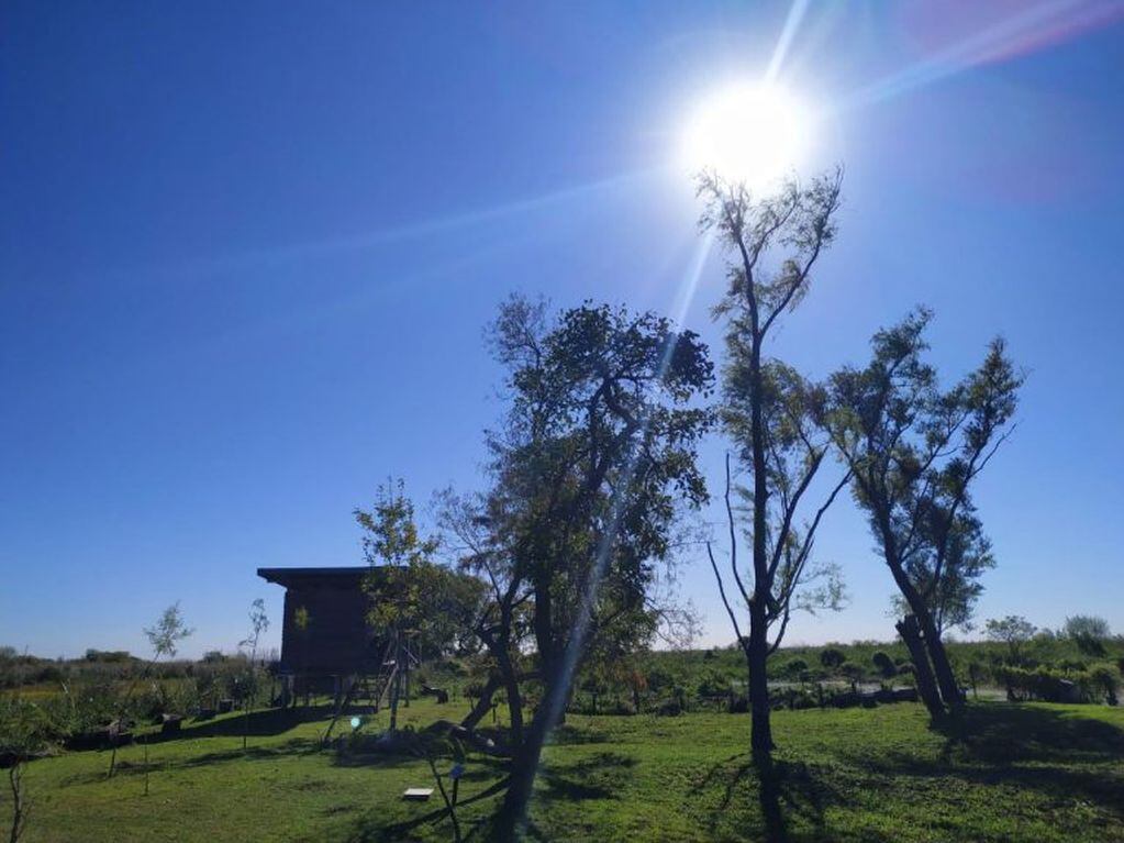 Vía Rosario cruzó la isla y transmitió en vivo desde la reserva Los Tres Cerros