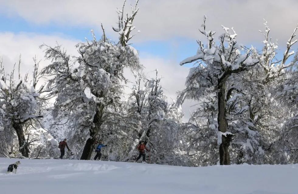 People do a snowshoe hike on the Otto hill during the lockdown imposed by the government against the spread of the new coronavirus, COVID-19, in Bariloche, Rio Negro, Argentina, on June 24, 2020. - Though the city of Bariloche is already covered with snow, this year there will be no avalanche of visitors in this popular tourist destination due to the coronavirus pandemic. (Photo by FRANCISCO RAMOS MEJIA / AFP)