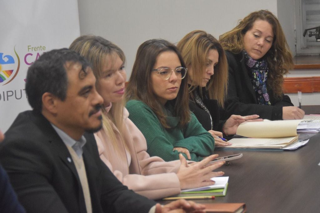 El presidente de la Comisión de Salud de la Legislatura de Jujuy, Omar Gutiérrez, condujo la reunión con los farmacéuticos.