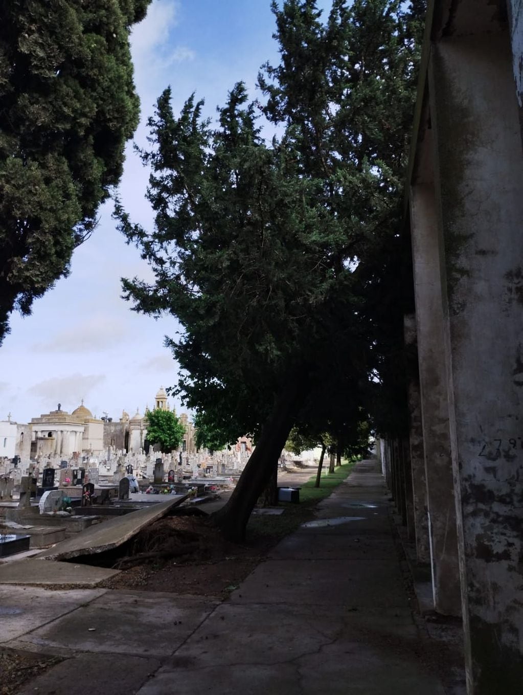 Tres Arroyos: Cementerio municipal cerrado al público