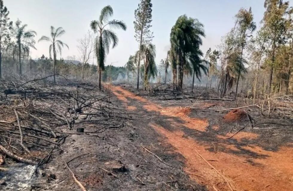 Controlaron un incendio en Roca Chica