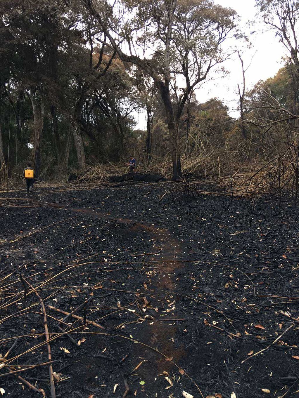 400 hectáreas de la Reserva Guaraní en El Soberbio fueron consumidas por los incendios.