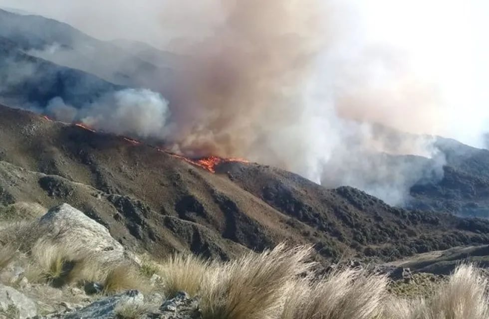 Incendio forestal en Villa de Merlo. Foto: Municipalidad de Merlo.