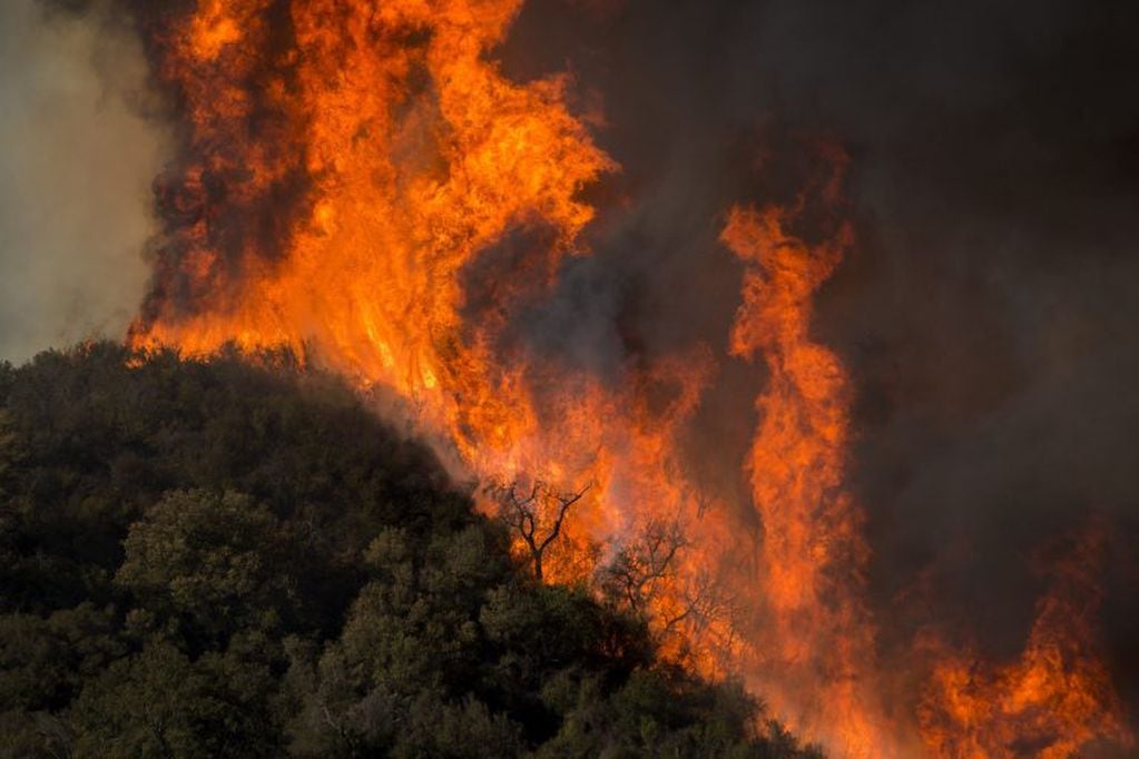 El fuego arrasa con varias áreas en California, Estados Unidos.(AFP)