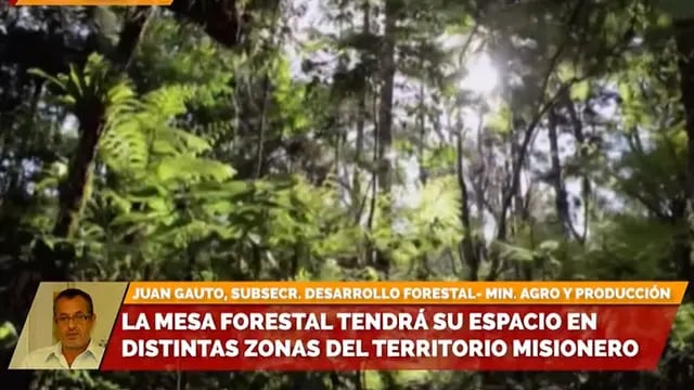 Misiones: la Mesa Forestal recorrerá la provincia promoviendo el cuidado del medio ambiente