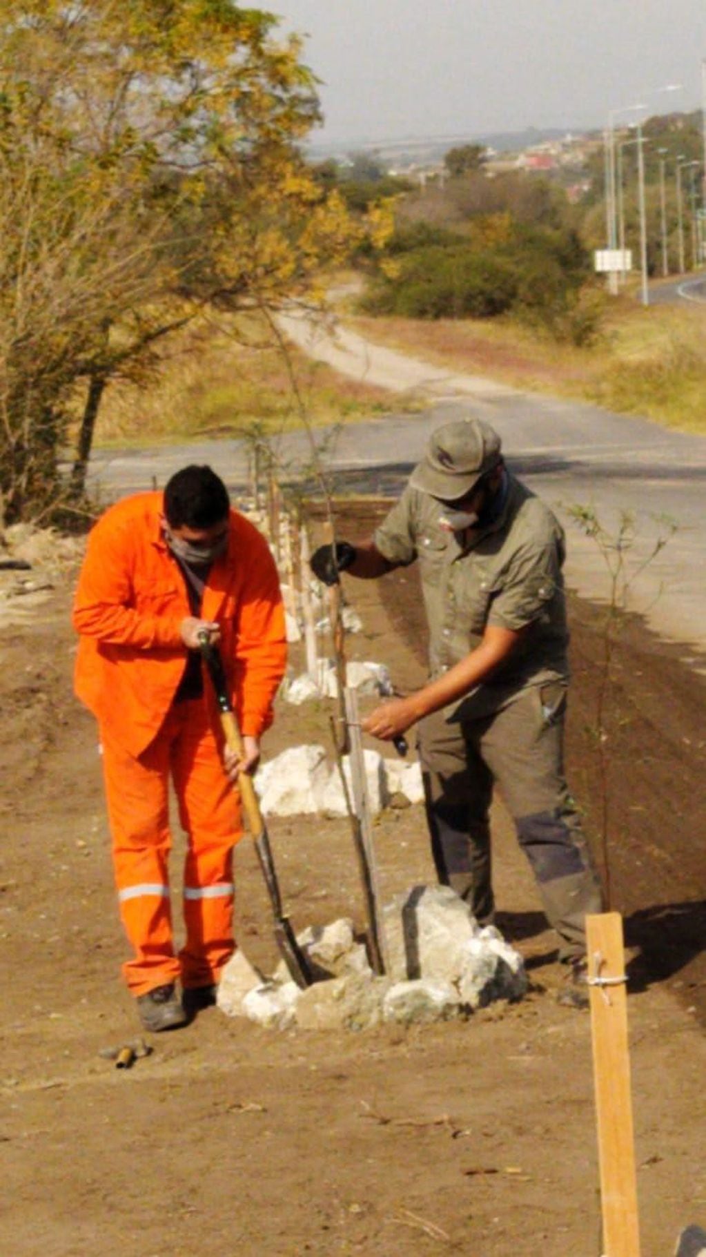 Plantaron otros 30 algarrobos y se incrementa la flora autóctona en Carlos Paz. (Foto: prensa municipal).