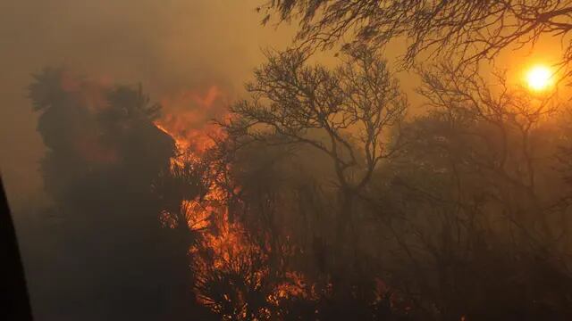 Incendios en el Norte Cordobés