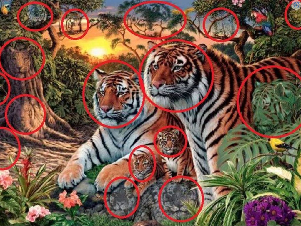 El resultado del acertijo visual de los tigres.