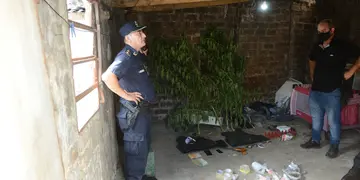 Policiales