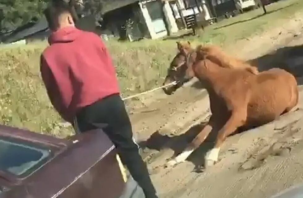 Hombre arrastró a caballo en Villa Gesell (Web)