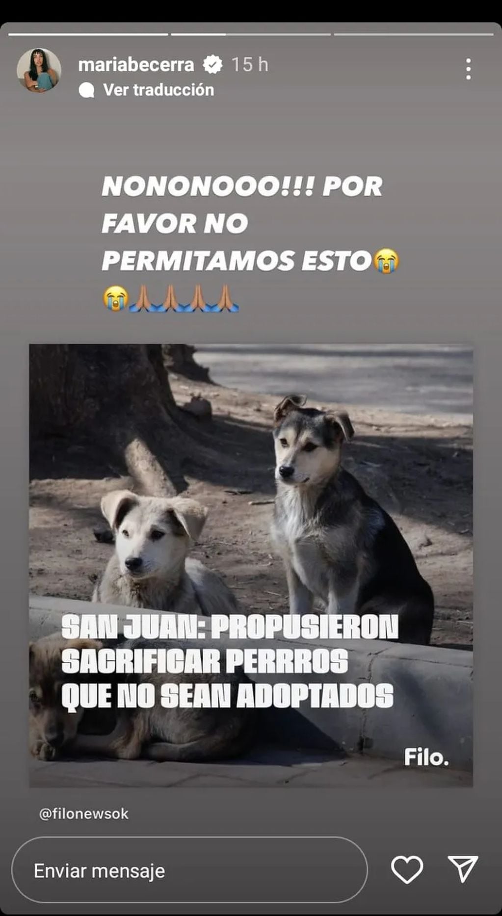 María Becerra salió a defender a los animales, en contra de la propuesta del intendente sanjuanino que quería sacrificar a los perros que no sean adoptados en 6 meses.