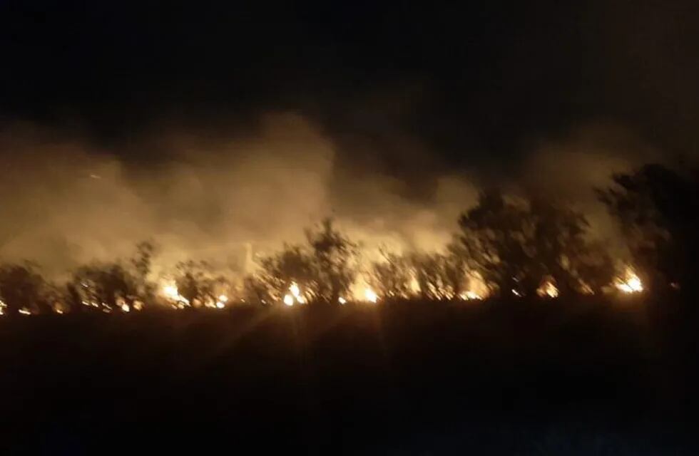 Se mantienen los focos de incendios forestales en la provincia de Misiones.