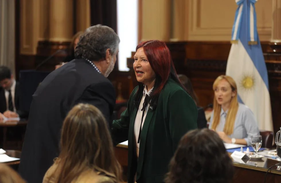 La jueza Ana María Figueroa y el jefe del interbloque del Frente de Todos, José Mayans. Foto: Federico López Claro.
