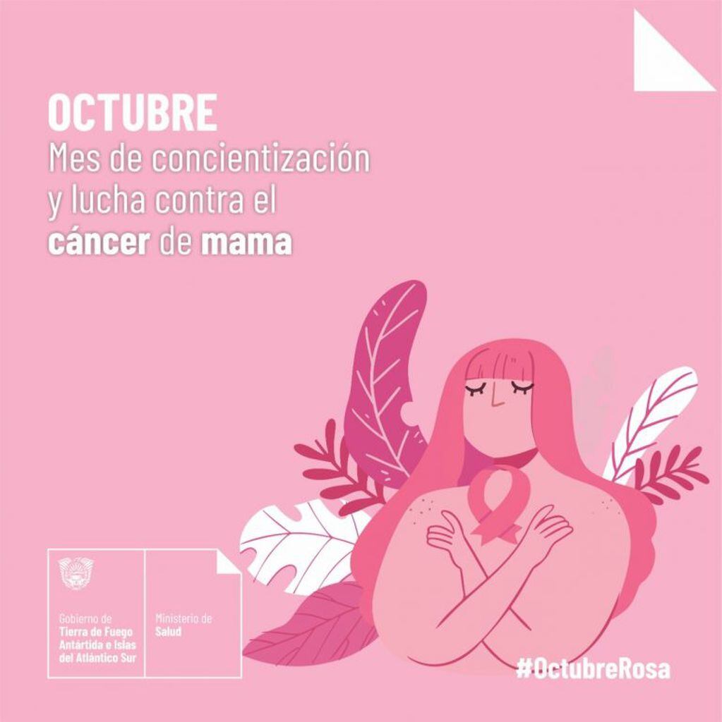 Cancer de mama (web)