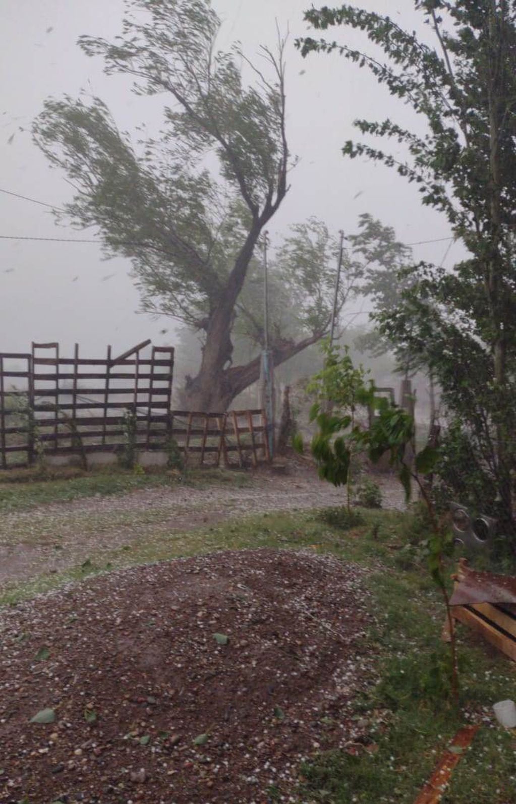 Una tormenta de viento lluvia y granizo afectó distintas zonas de San Rafael. Gentileza 