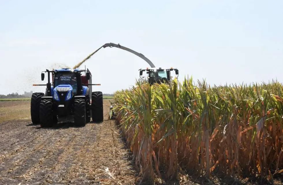 La Mesa de Enlace anunció que realizará un cese de comercialización de granos desde el lunes 11 de enero hasta el miércoles 13 inclusive. (Foto: Gentileza)