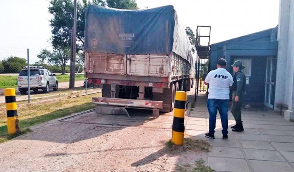 Gendarmería Nacional secuestró 4,5 toneladas de soja que no estaban declaradas. (Prensa Gendarmería)