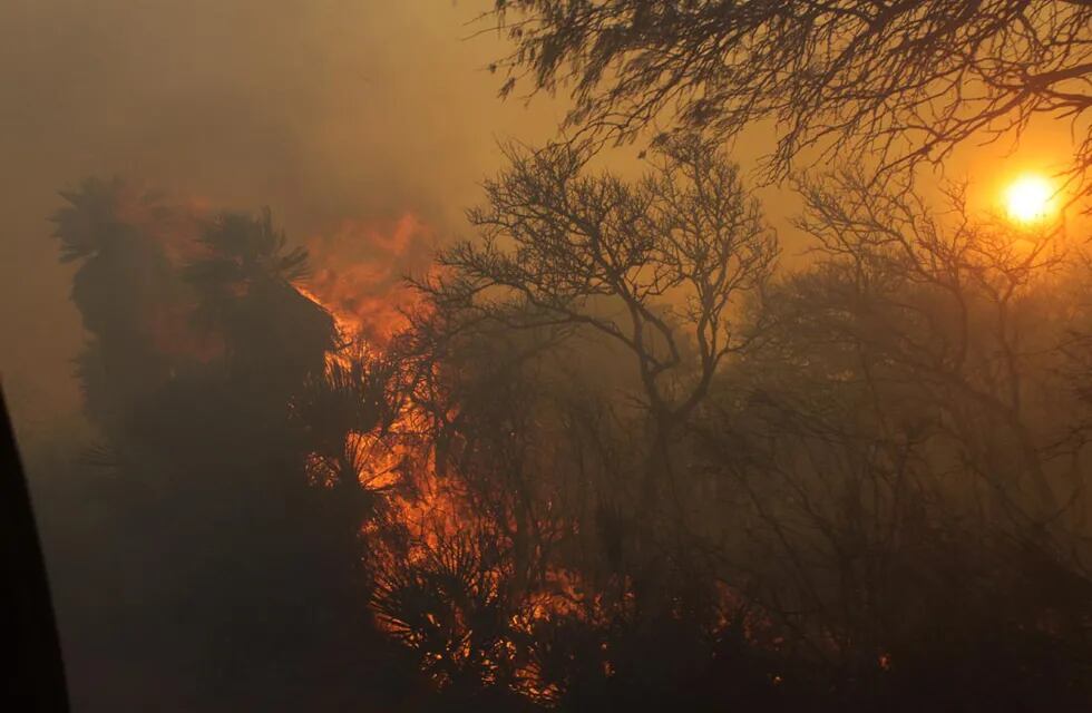 El fuego, un peligro inminente en Córdoba. (Foto: archivo/ilustrativa)