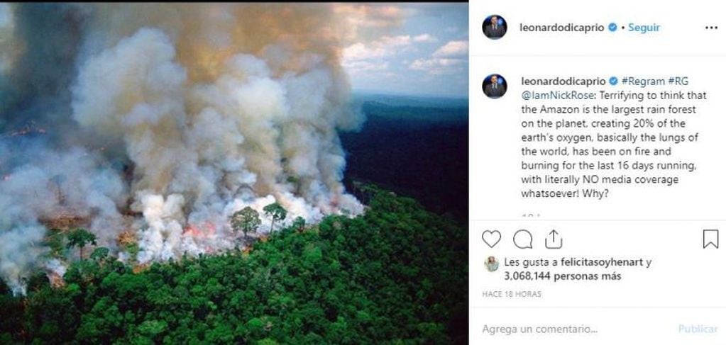 Los famosos llaman a concientizar sobre los incendios en el Amazonas (Instagram)