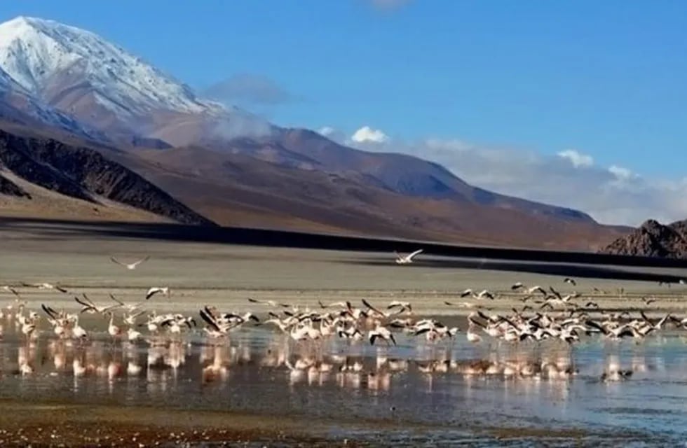 Antofagasta de la Sierra fue declarada como Capital Nacional del Vulcanismo
