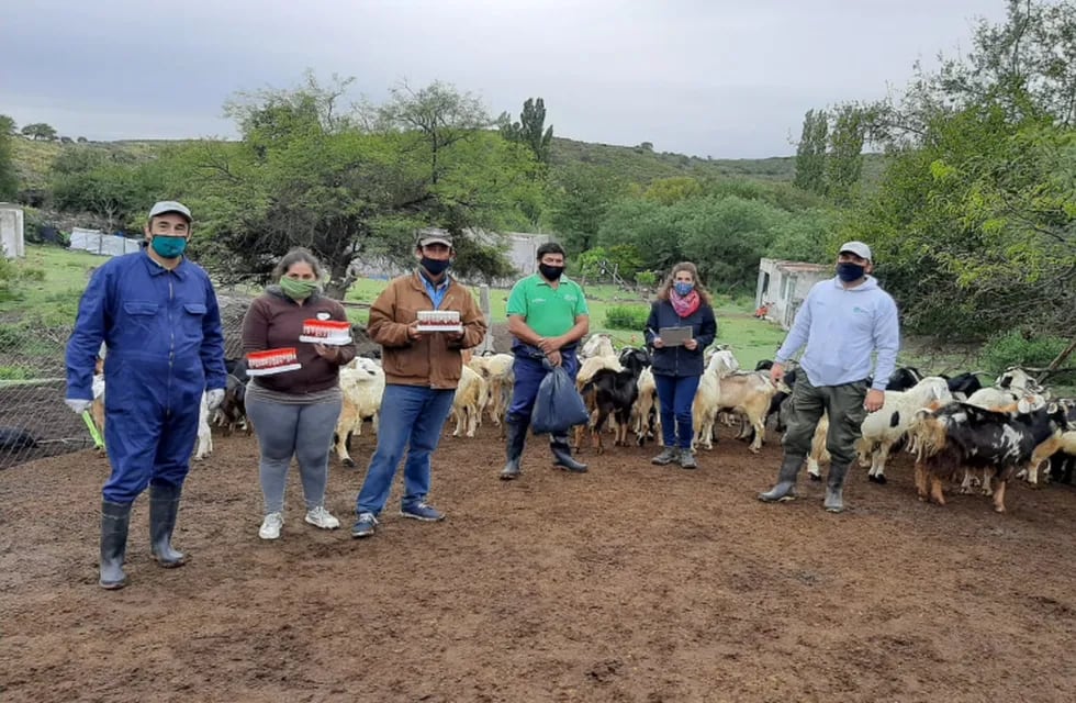 Los productores caprinos y los técnicos con las muestras sacadas de majadas de cabras en el Norte de San Luis. Gentileza Norte Puntano